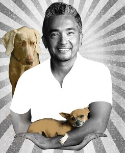 cesar milan