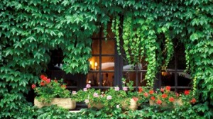 el jardin de las delicias