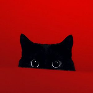 rojo el gato negro